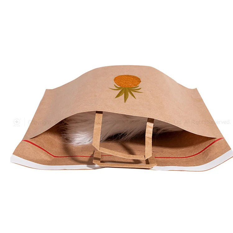 Kraft Paper Garment Bag | Shipping Bags for delivery